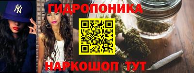 стаф Камышлов