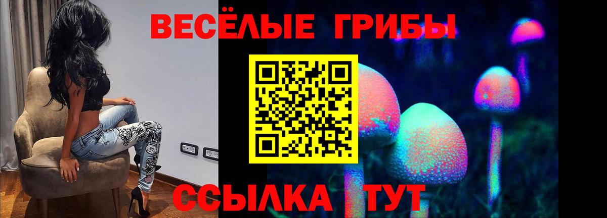 Галлюциногенные грибы Cubensis Коряжма